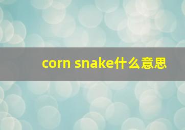 corn snake什么意思